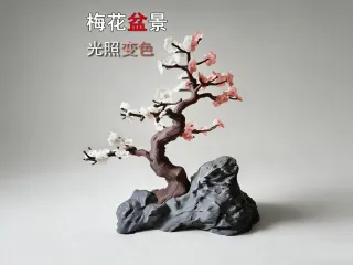 变色梅花盆景