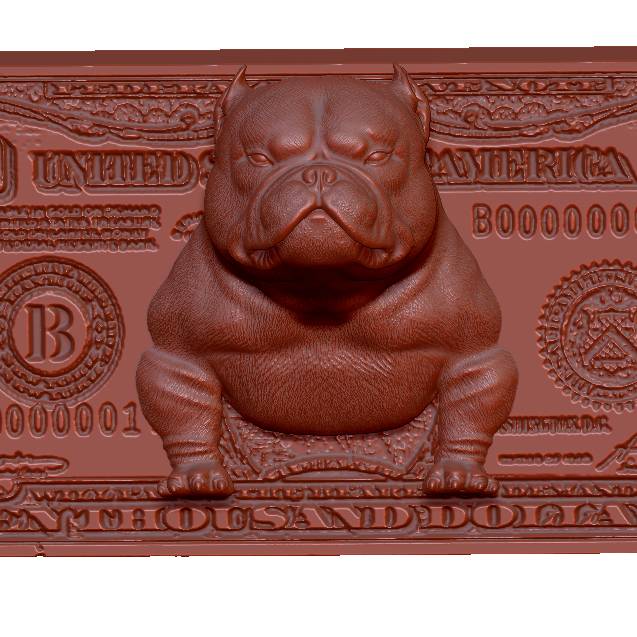 exotic bully dolar 10K