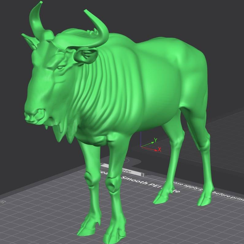 African Safari Animals