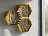 Modular Indoor Bee Hive – Stackable Hexagon Frames-0