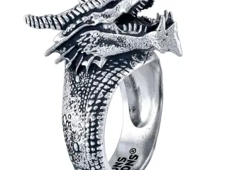 anillo dragon