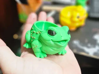 Frog POT