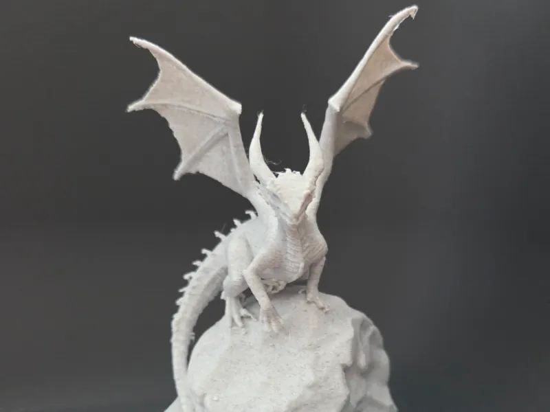 Fierce Dragon on a Rock