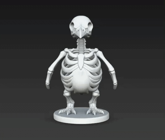 Skeleton Penguin-0