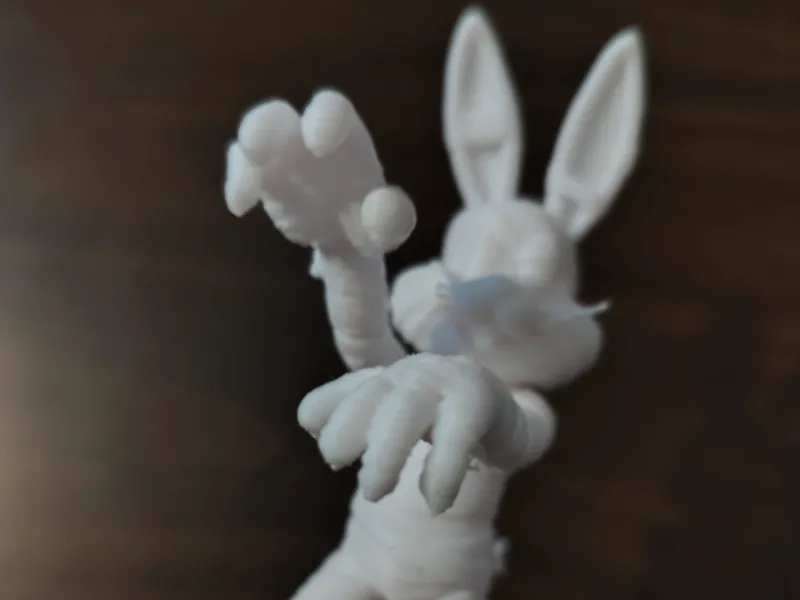 bunny momia