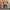 Cute Kawai Cat House - Fullsize Pet Home