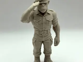 Monkey Soldier