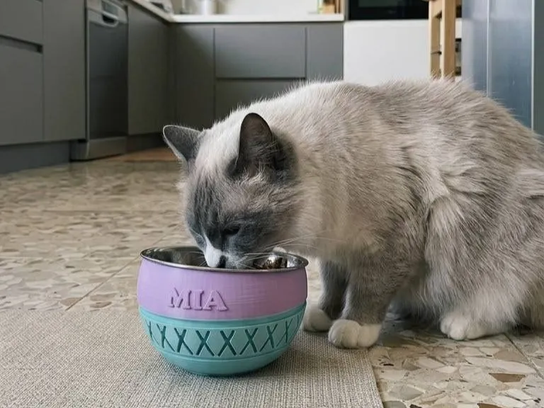 مغذي الحيوانات الأليفة MY MIA