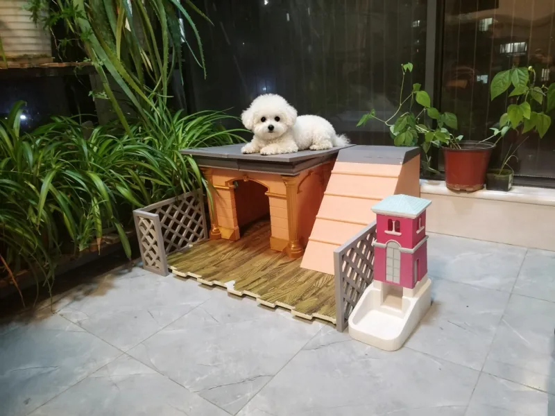 Villa pour animaux de compagnie en blocs
