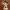 Figurine Cavalier Monster Hunter – Guerrier à l'Épée