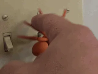 Spider Dimmer Knob switch