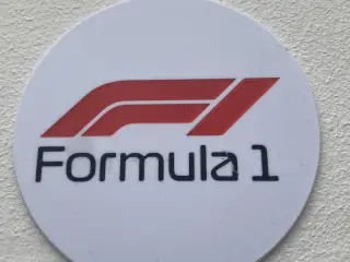 Formula 1 coaster