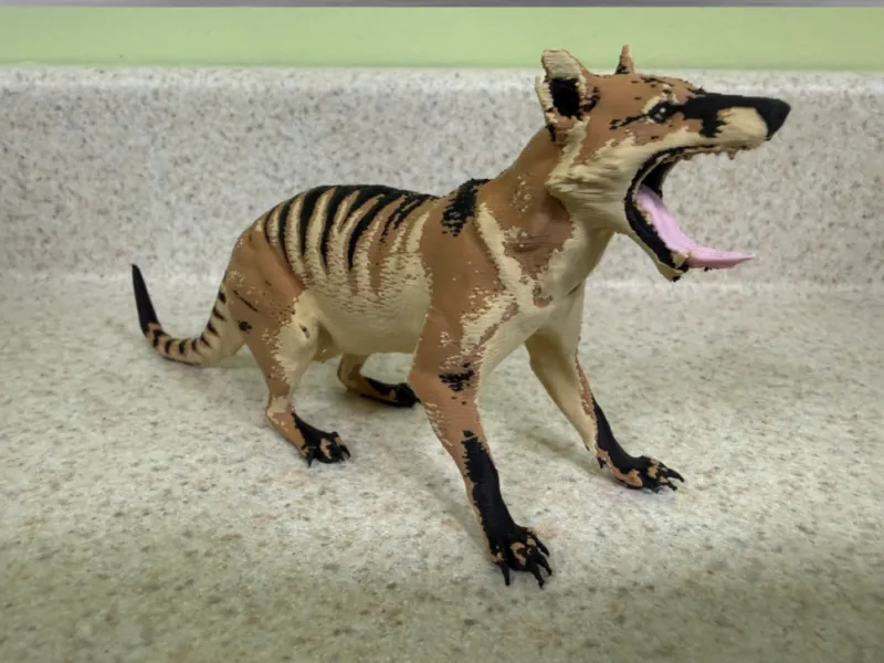 Thylacine-Tigre de Tasmanie-Créature HyperRéelle