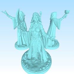 4 priestress 28 mm for playing boardgames
