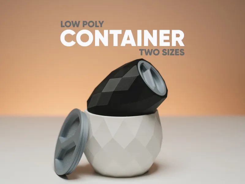 Low Poly Container