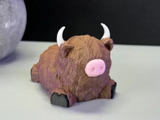 Cute Highland Cow
