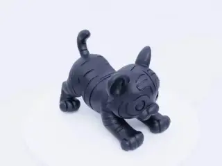 Cute Playful Tiger Cub - Adorable Jungle Predator