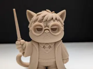 Grumpy Cat Potter
