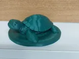 Turtle No Support - Kaplumbağa Destek Yok-0