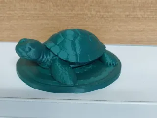 Turtle No Support - Kaplumbağa Destek Yok