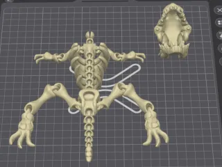 FLEXI DINO SKELETON