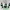 Bone & Eyeball Cauldron Clicker