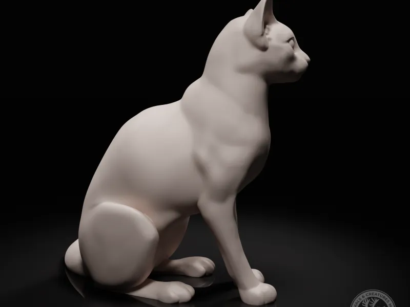 Sitting cat 3
