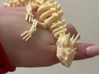 скелет дракона