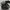 Dragão Eclipse da noite
