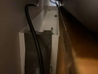 Poop  Chute Ramp (needs 1 1/2in pvc)