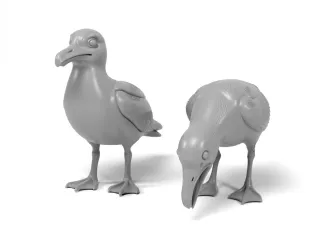 Seagulls