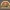 Fallout New Vegas Sunset Sarsparilla Logo Magnet