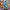 eevee and eeveelutions keychains also can link together