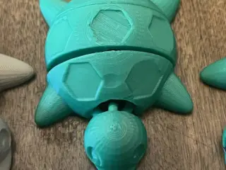 Articulated Baby Turtle