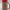 🍺 Tankard Party Cup Koozie — Name Plaque