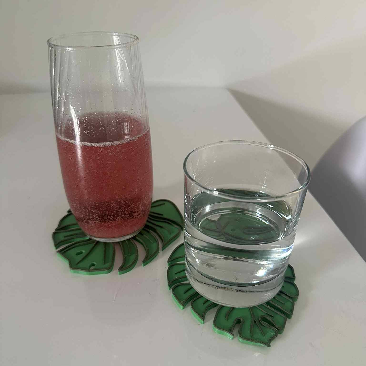 Monstera leaves (Coasters)