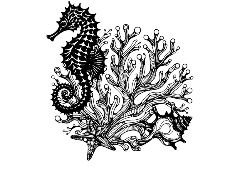 Seahorse