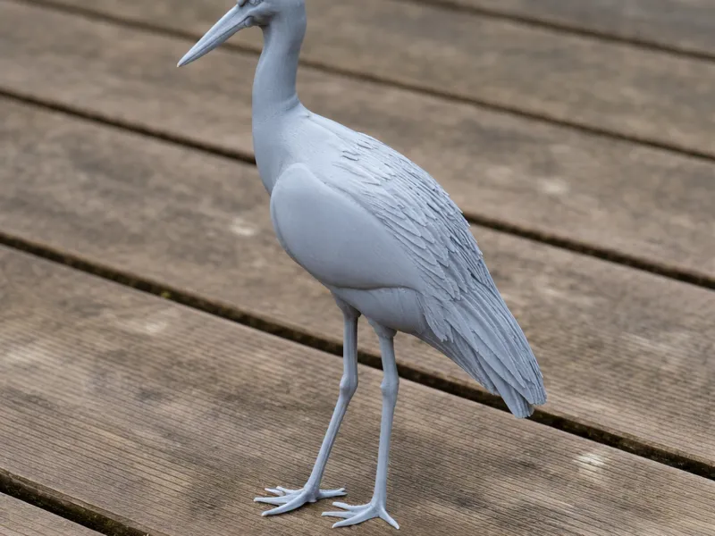 Stork