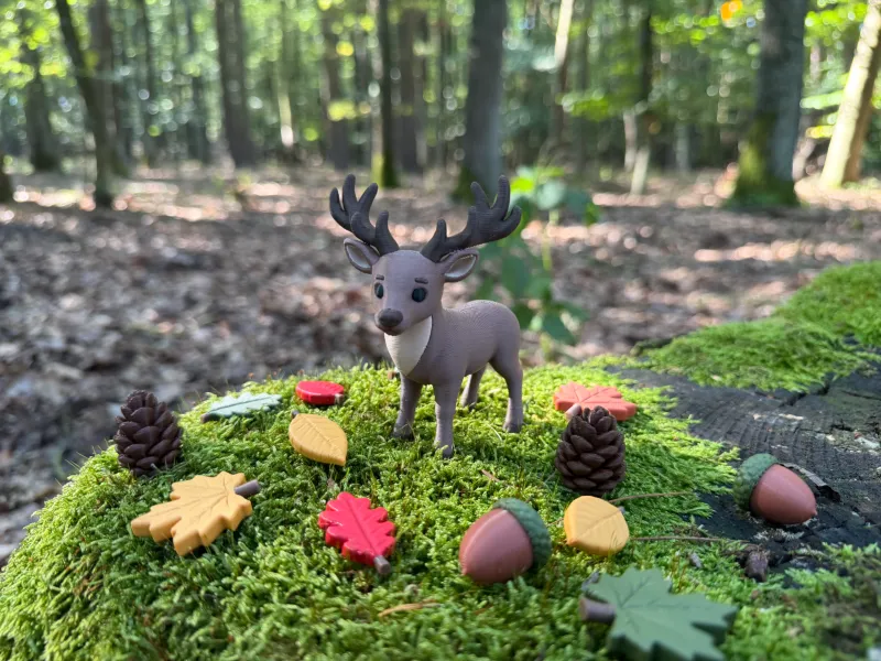 Forest Deer
