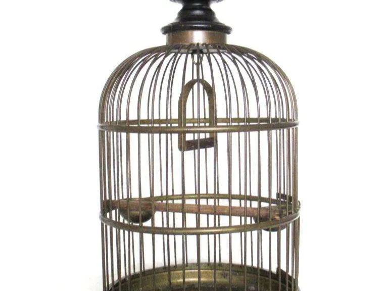 make now-the mini me bird cage