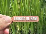 Portachiavi FabricaDeBani-0