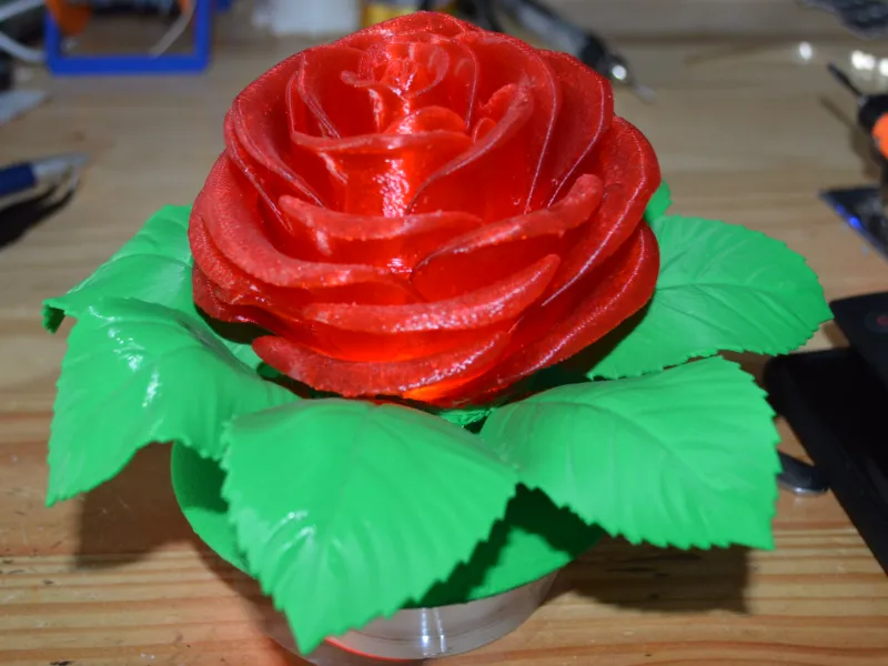 Unendliche Rose
