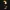 Realistic Toucan Bird on Tree Branch | Tropical Bird