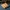 Miniature Muestra_madera