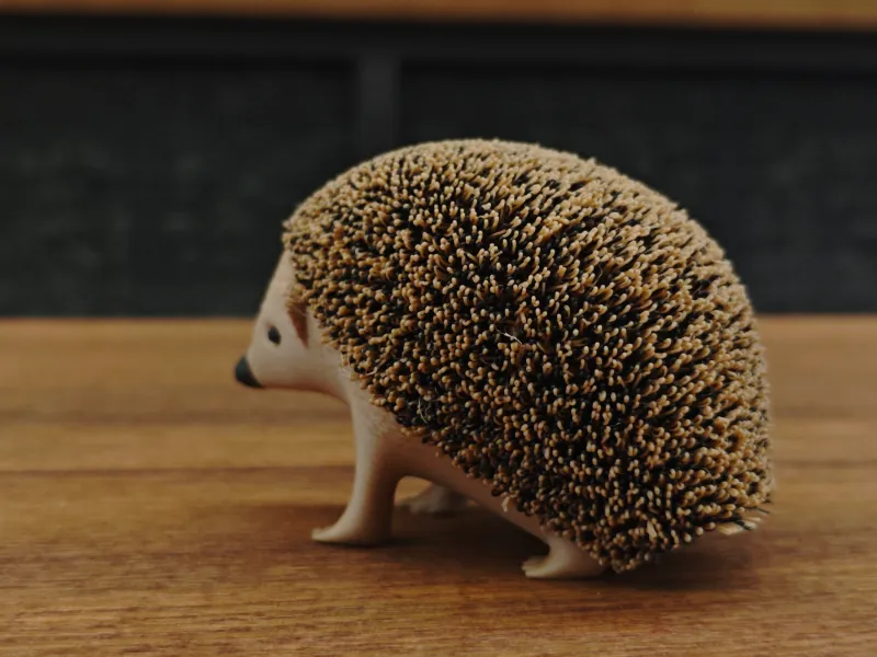 绒毛小刺猬