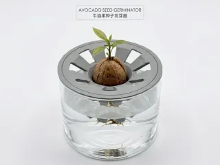 牛油果种子种植器