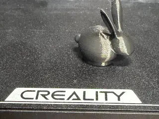 Cute Mini Bunny