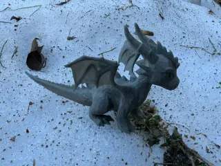 Winter Dragon young