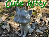 Beautiful cute kitty-0