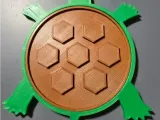 Turtle 2 in 1 coaster-0